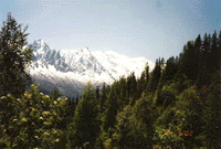 Gletscherblick Mont Blanc